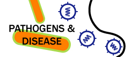 Pathogens and Disease  | Bite-Sized Immunology 