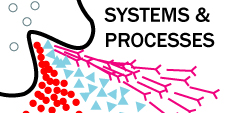 Systems and Processes | Bite-Sized Immunology 